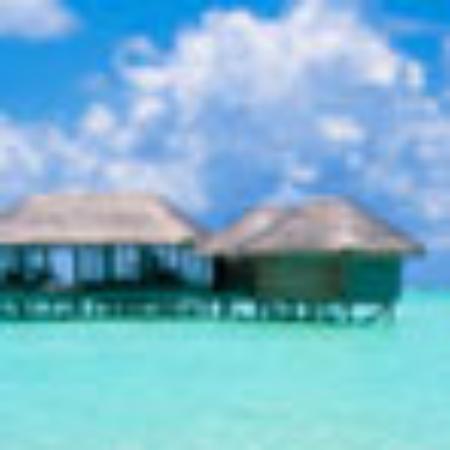 Hokus Pokus Restauracja